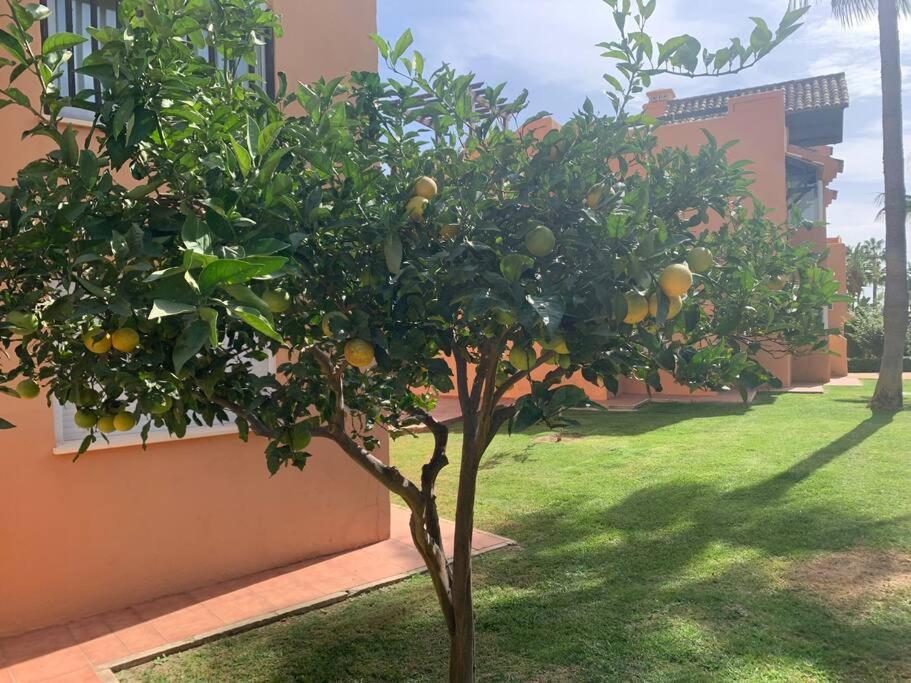Schoenes Penthouse Mit Meerblick Pura Vida Bahia de Casares 외부 사진